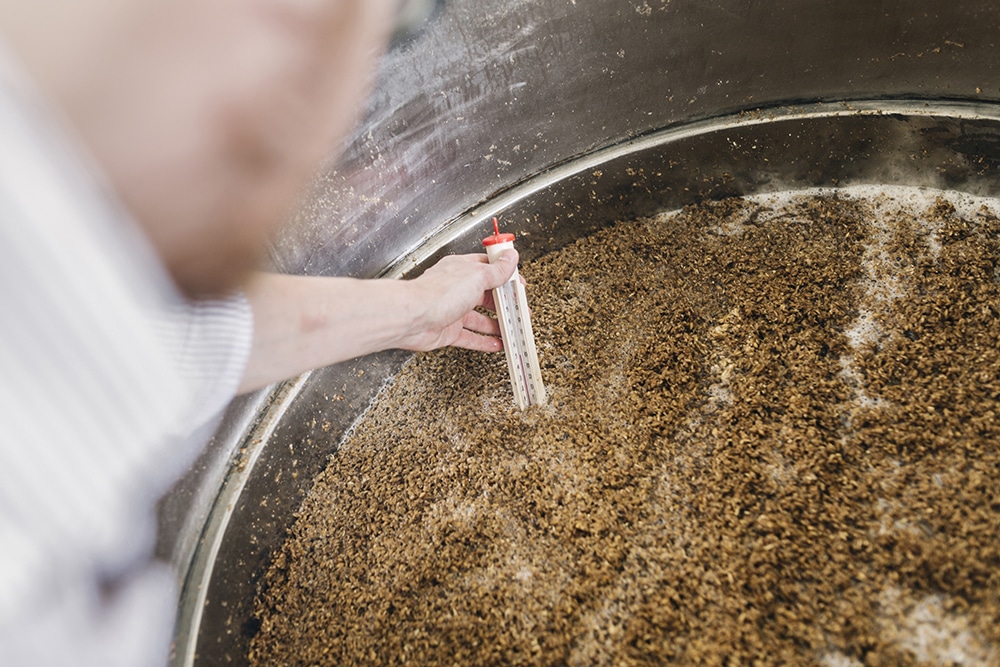 Brewery worker checking temperature of beer