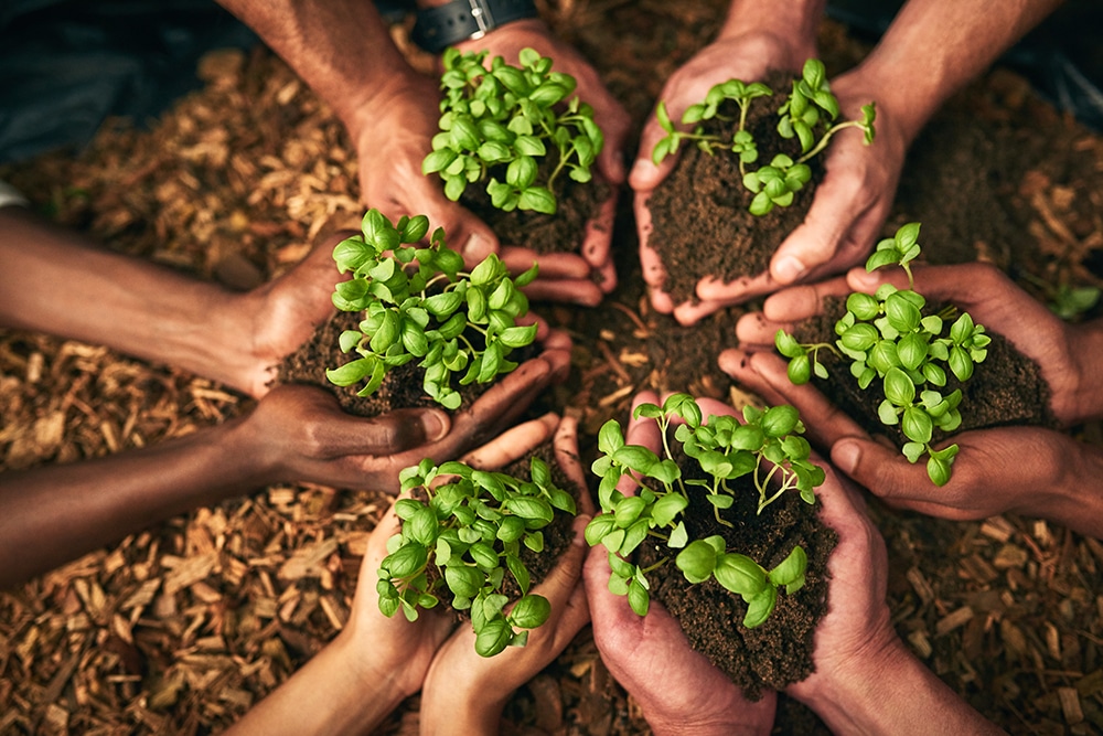 Holding growth in the palms of their hands.